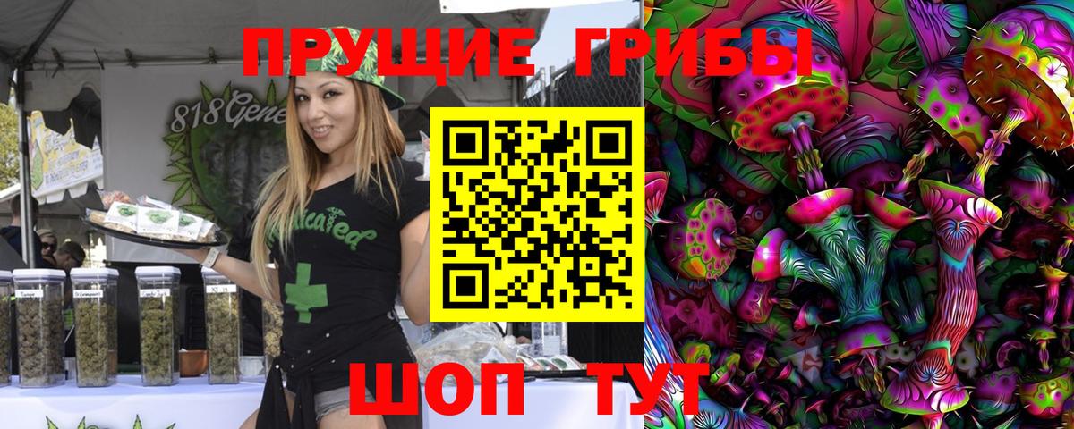Псилоцибиновые грибы MAGIC MUSHROOMS  Вход с VPN  цены   Шадринск 